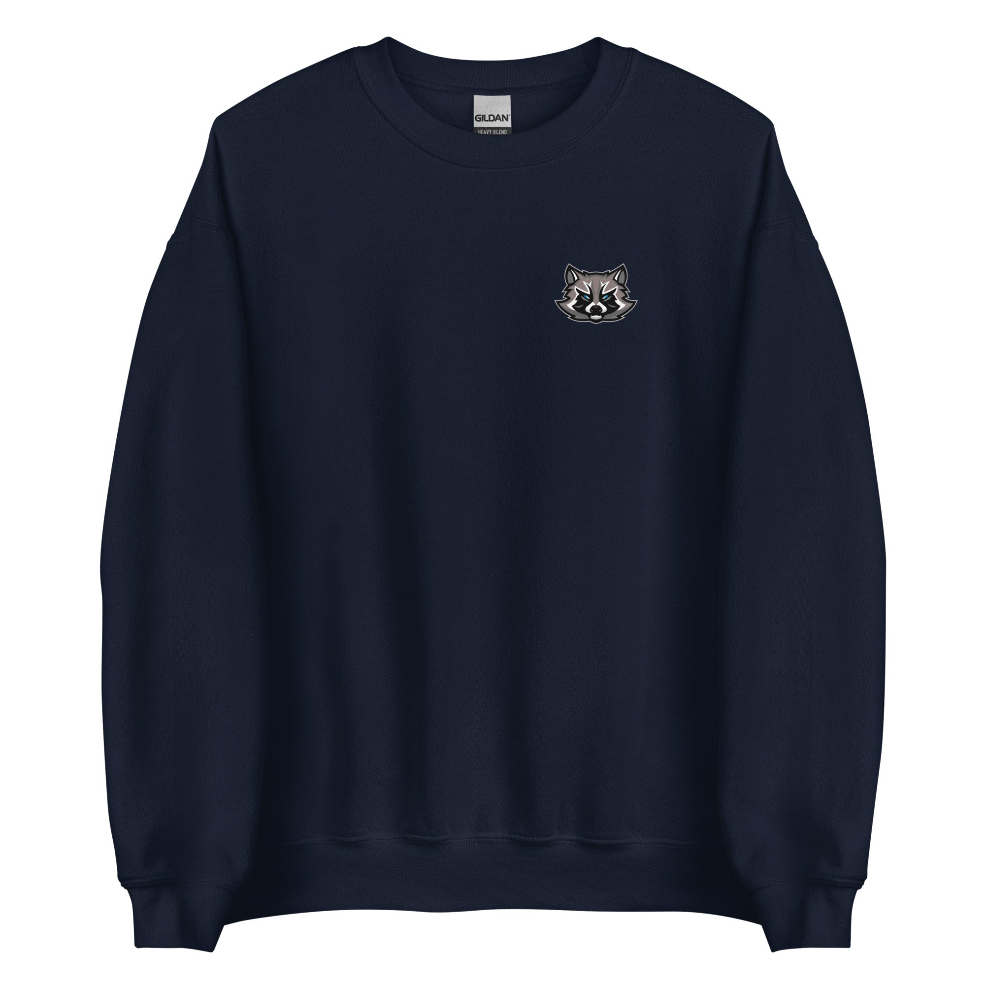 SpaceRaccoons Sweatshirt