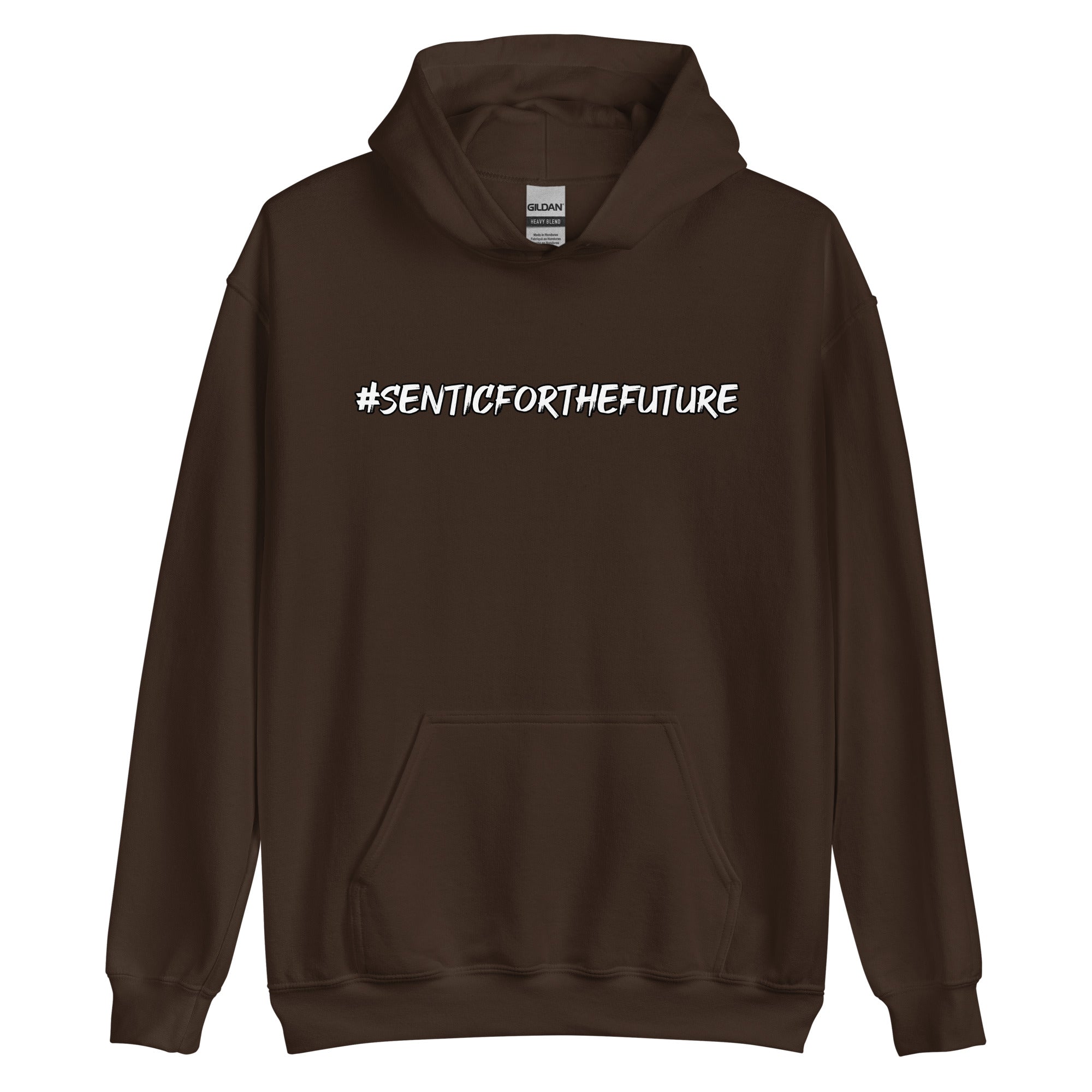 Sentic Big Print Hoodie