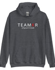 teamKR Big Print Hoodie
