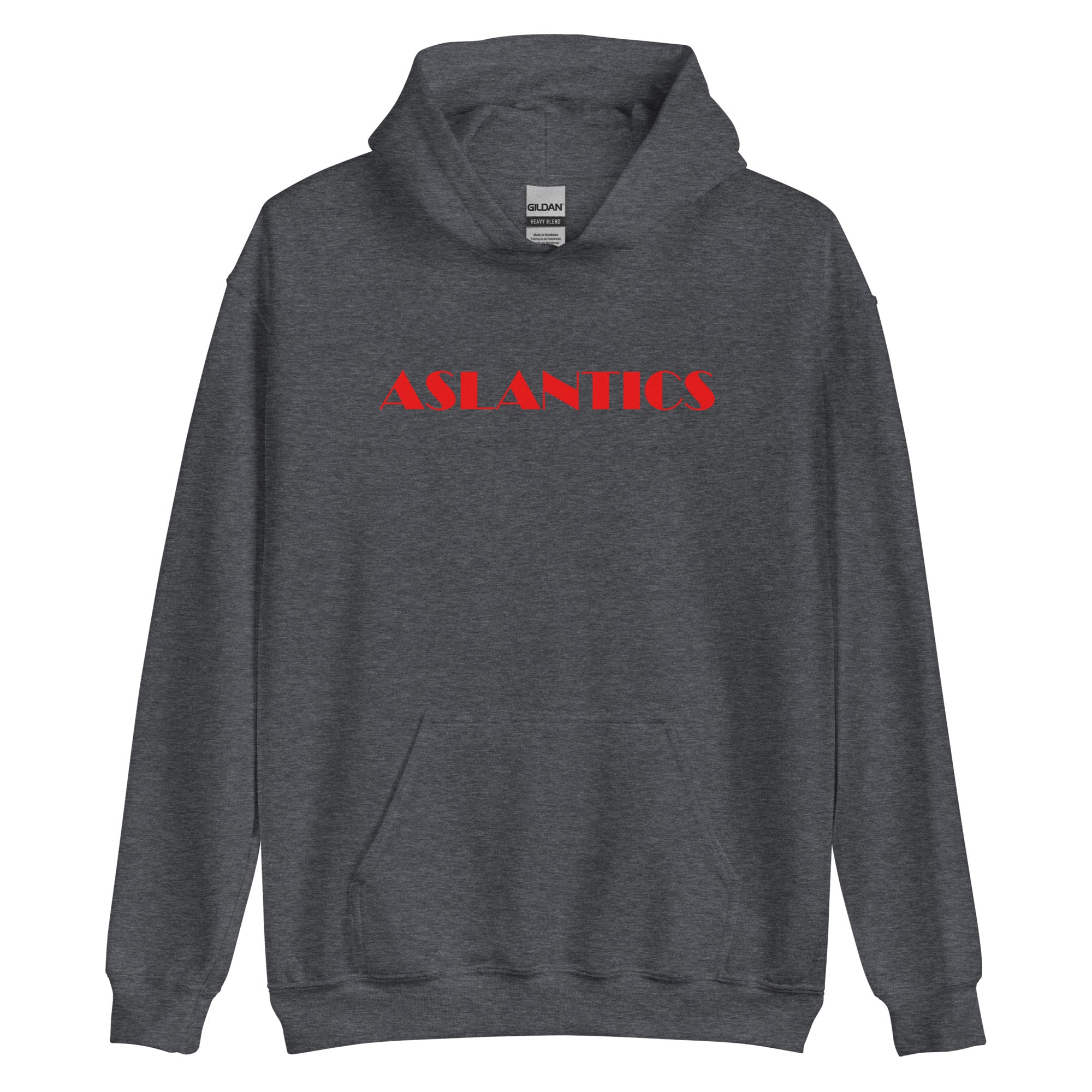 Aslantics Big Print Hoodie