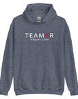 teamKR Big Print Hoodie