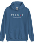 teamKR Big Print Hoodie