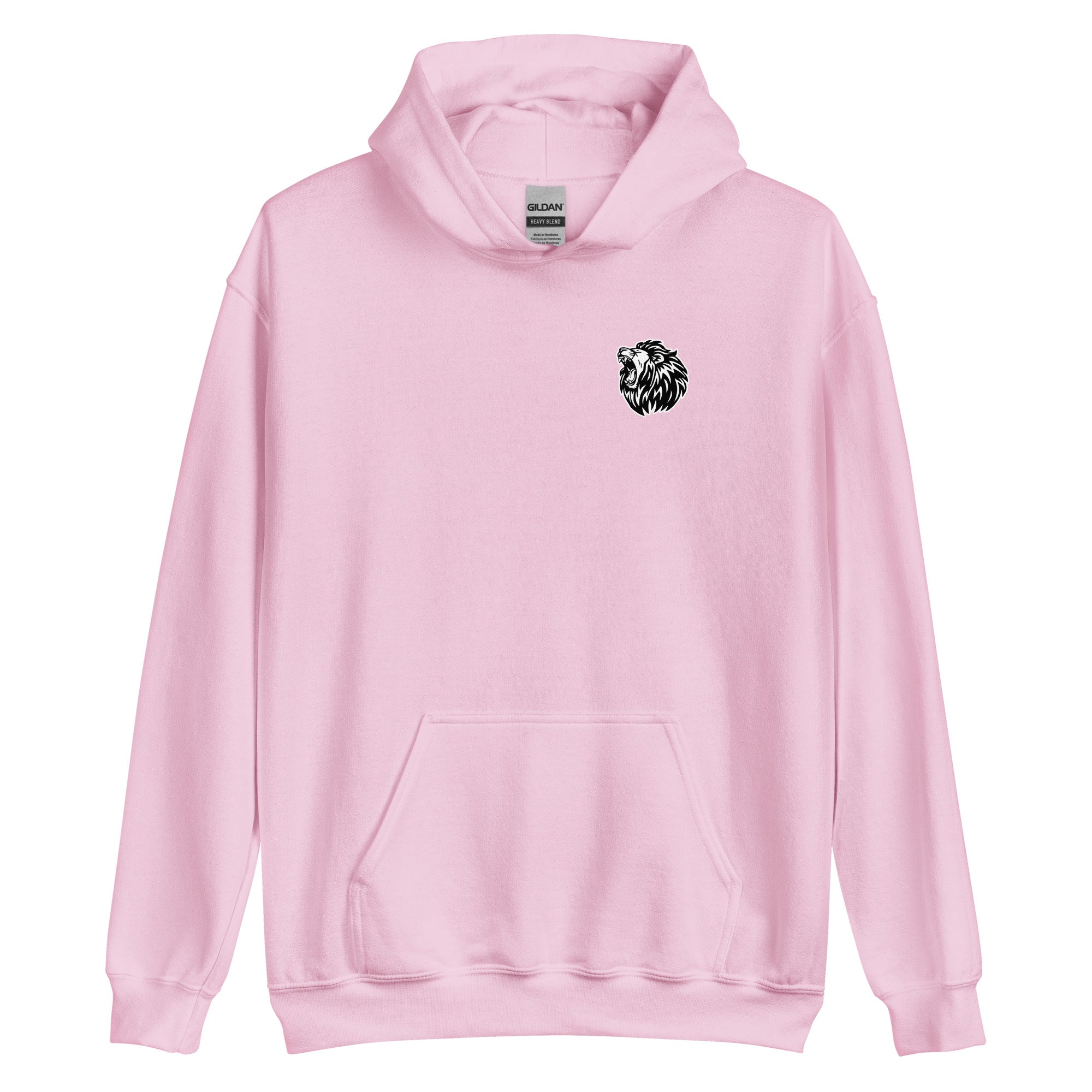 Aslantics Hoodie