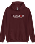 teamKR Big Print Hoodie