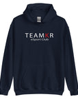 teamKR Big Print Hoodie