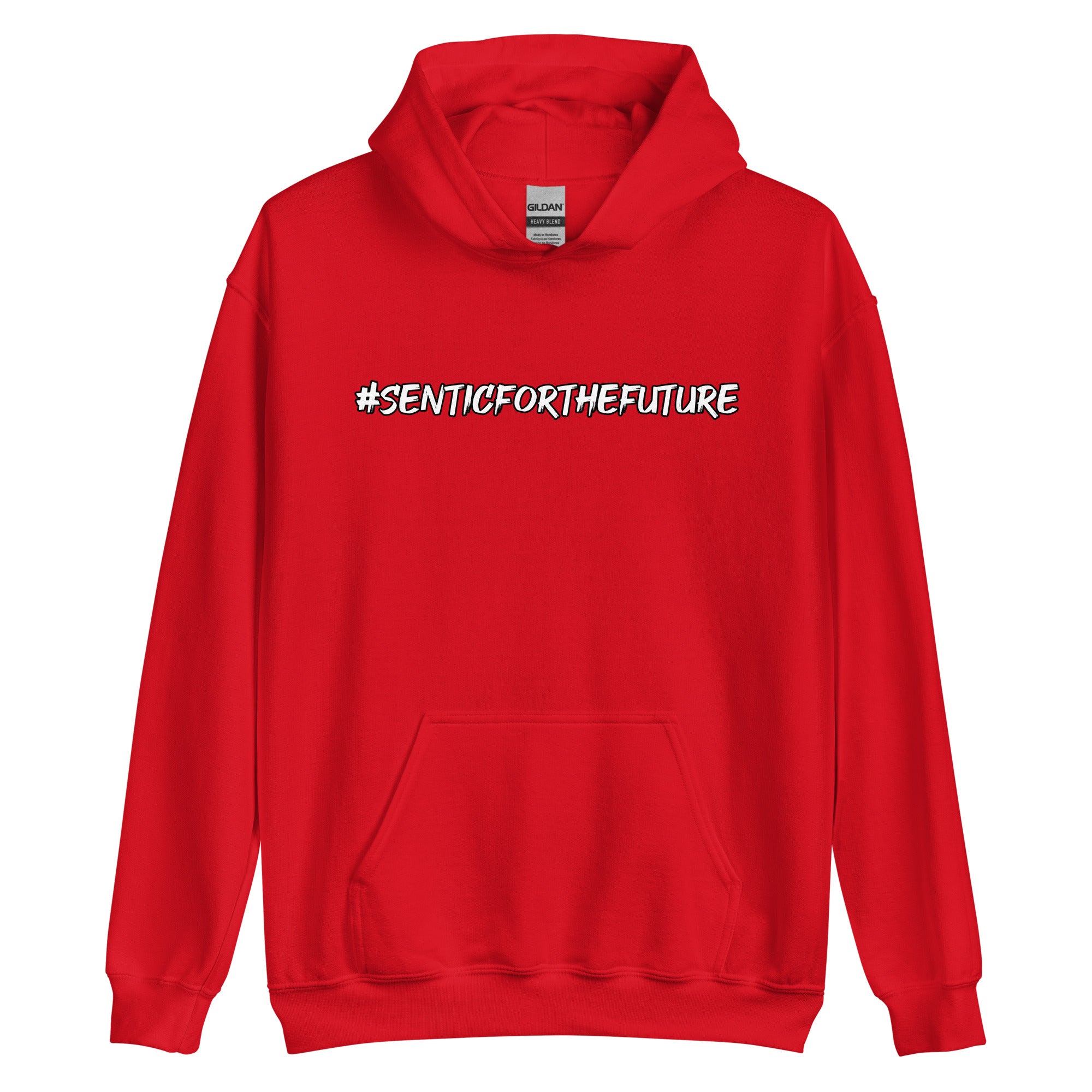 Sentic Big Print Hoodie