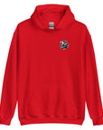 Aslantics Hoodie
