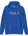 teamKR Big Print Hoodie
