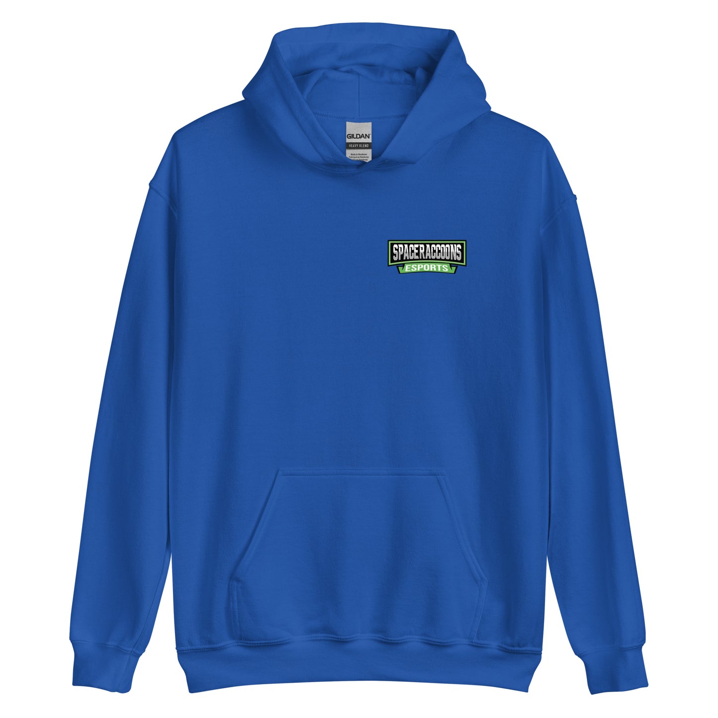 SpaceRaccoons Hoodie