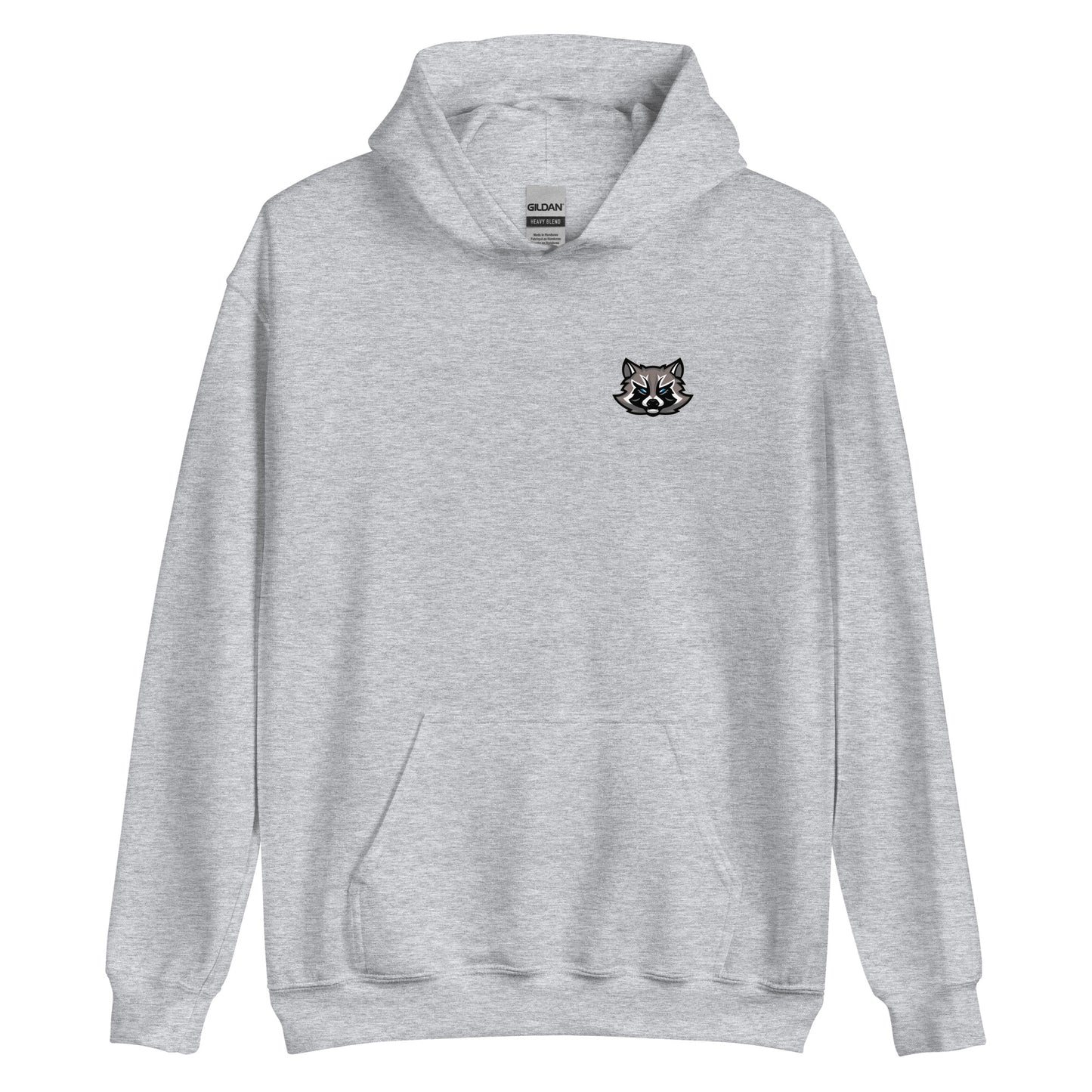 SpaceRaccoons Hoodie