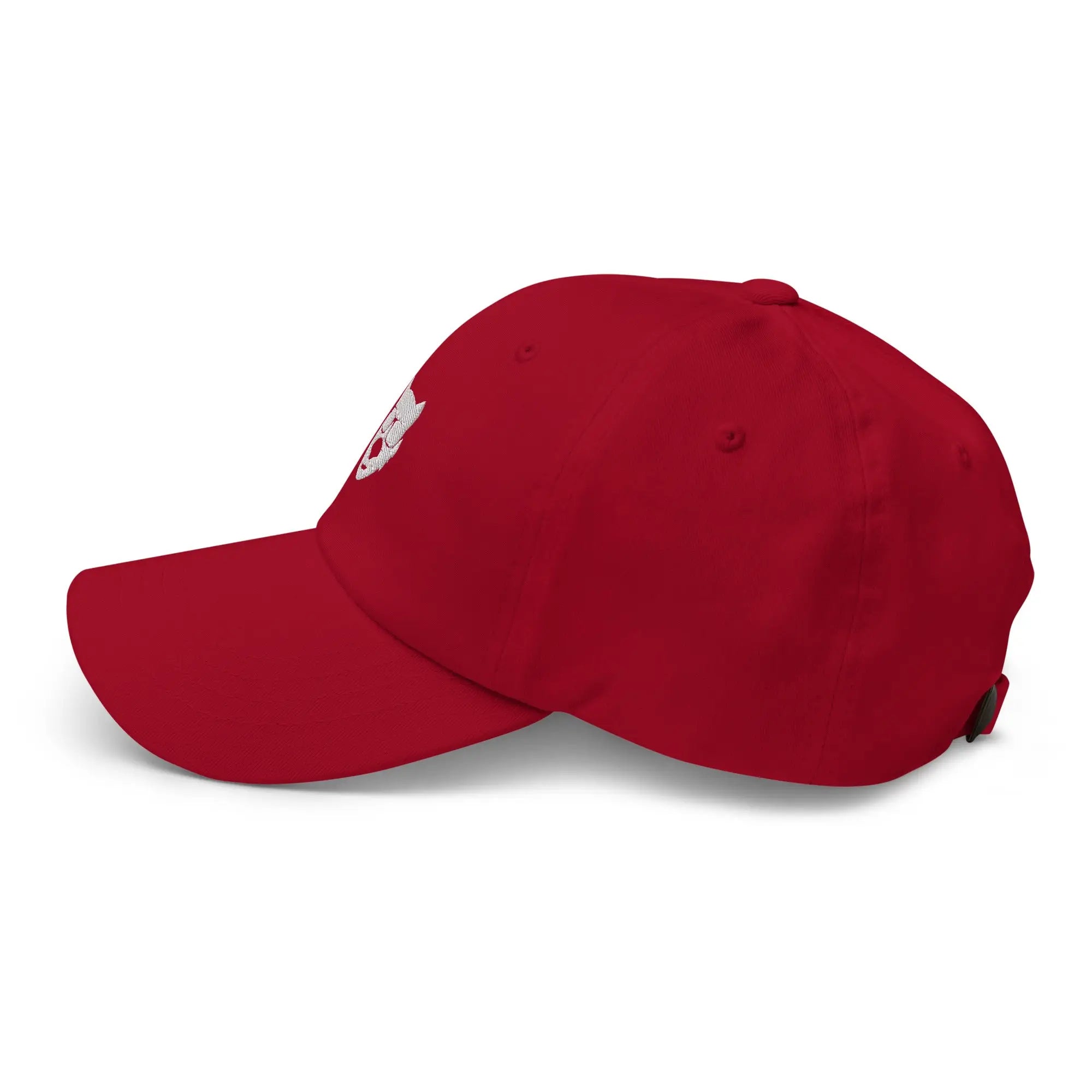 Basic Cap (Bestickt) W4lDi96