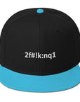 Basic Snapback (Bestickt) TFO