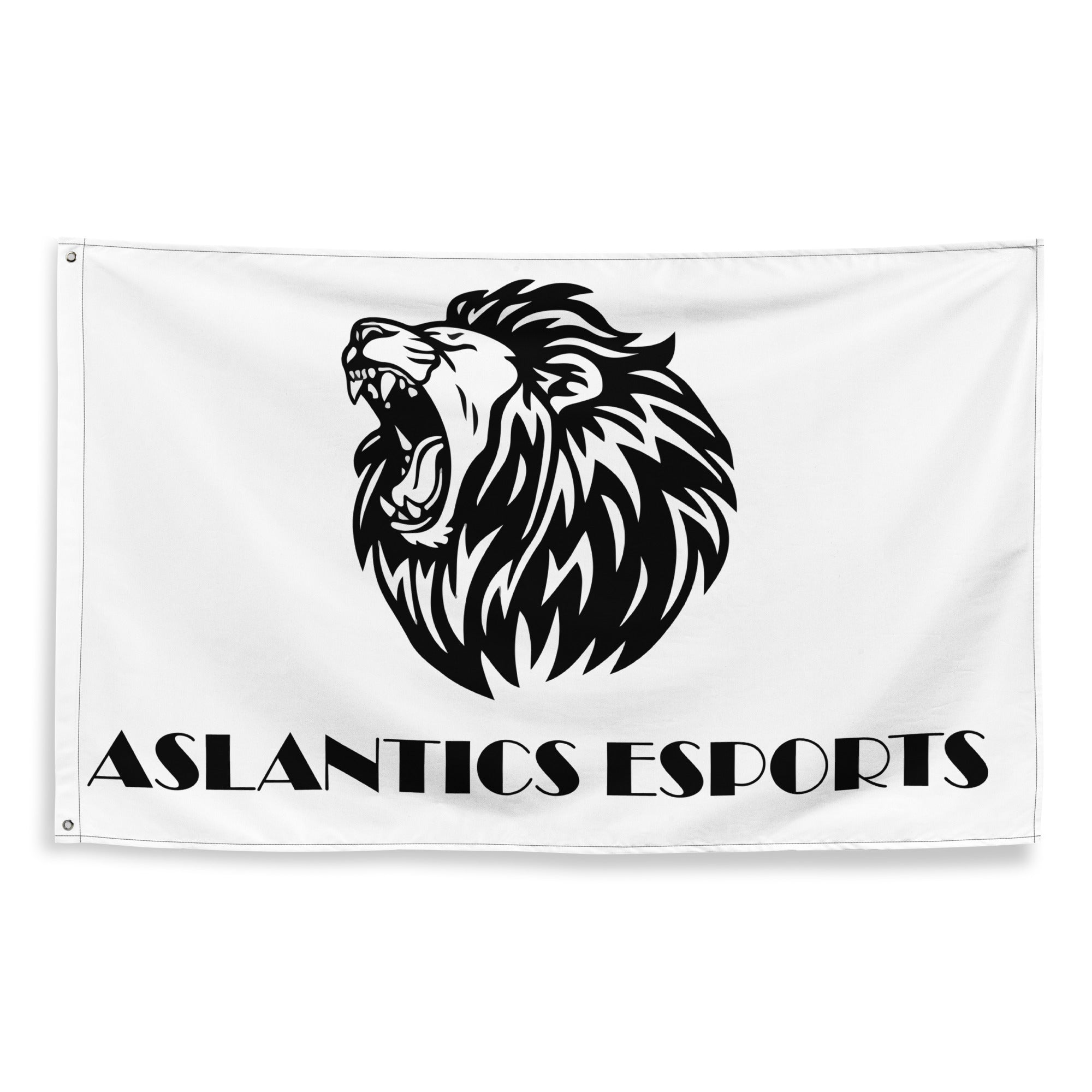 Aslantics Wandflagge