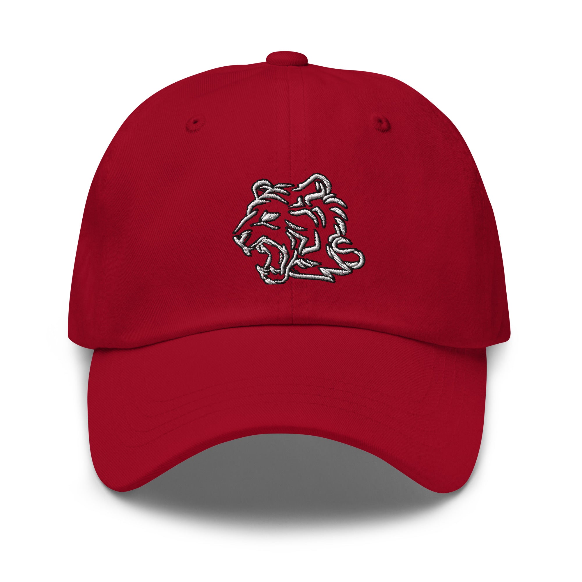 TeamWS Cap