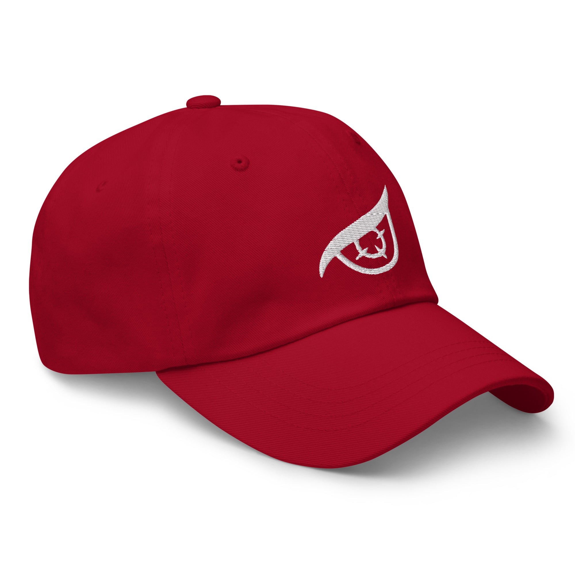 TeamBS Cap