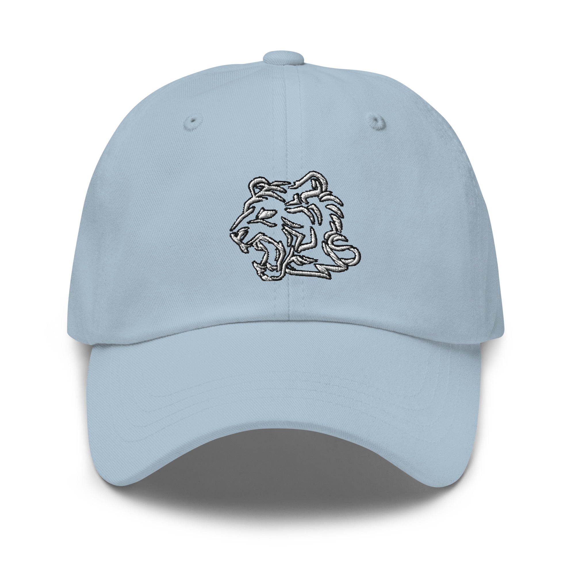 TeamWS Cap