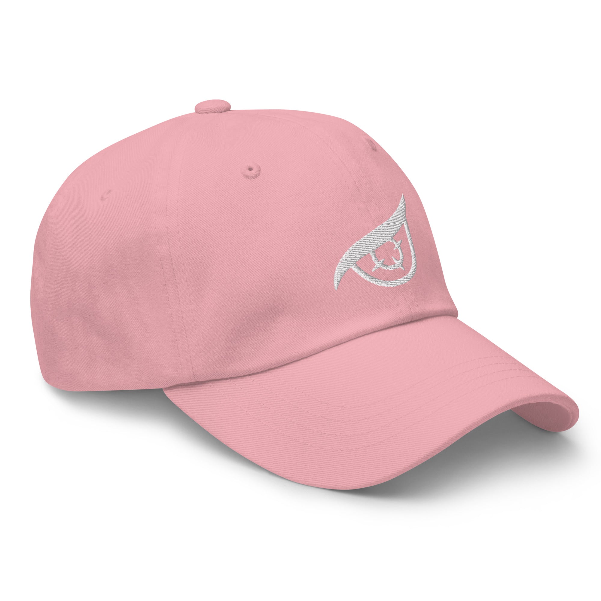 TeamBS Cap