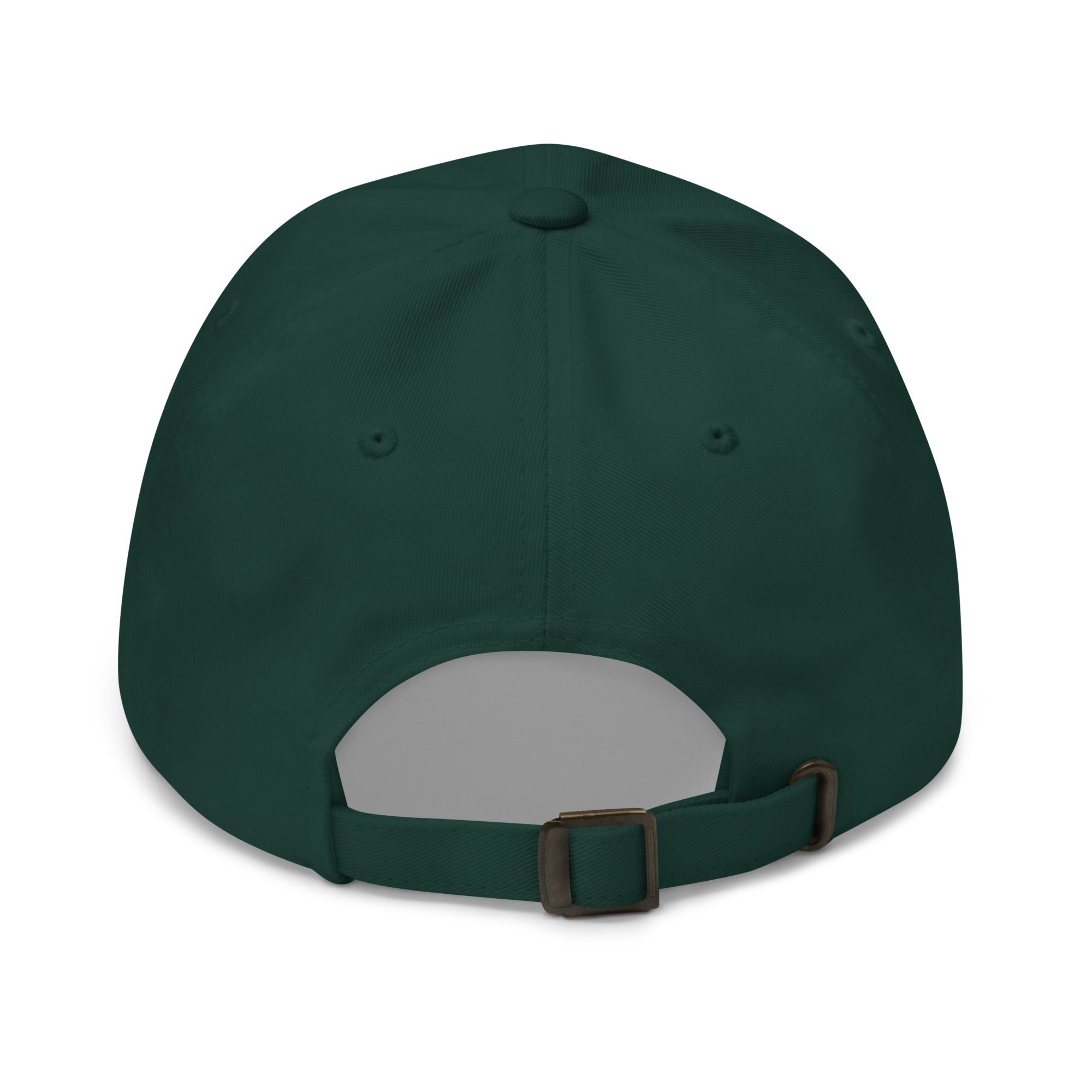 TeamWS Cap