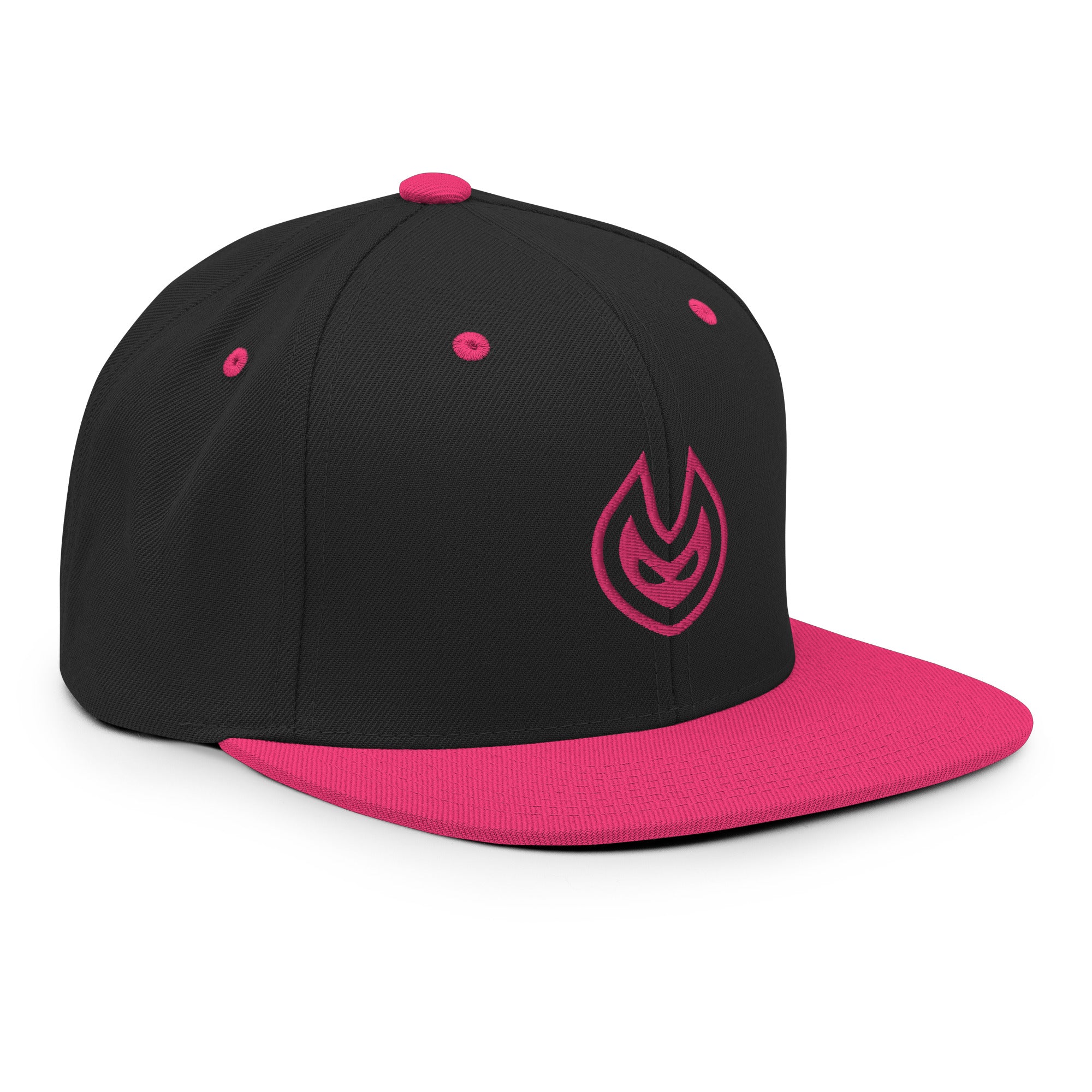 VISION Snapback