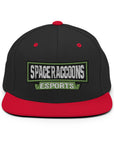 SpaceRaccoons Snapback