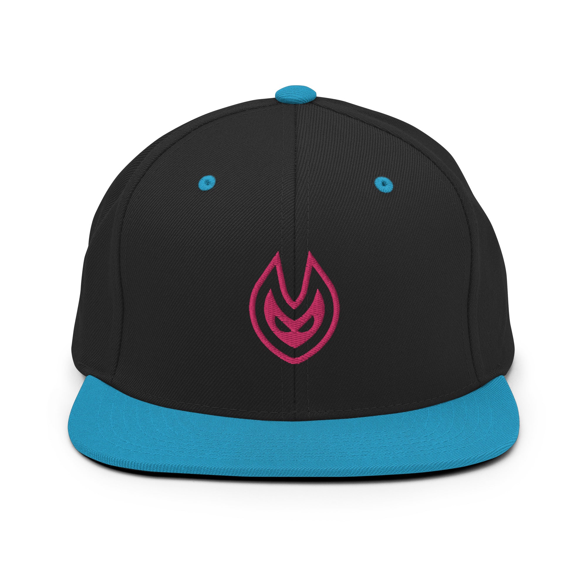 VISION Snapback