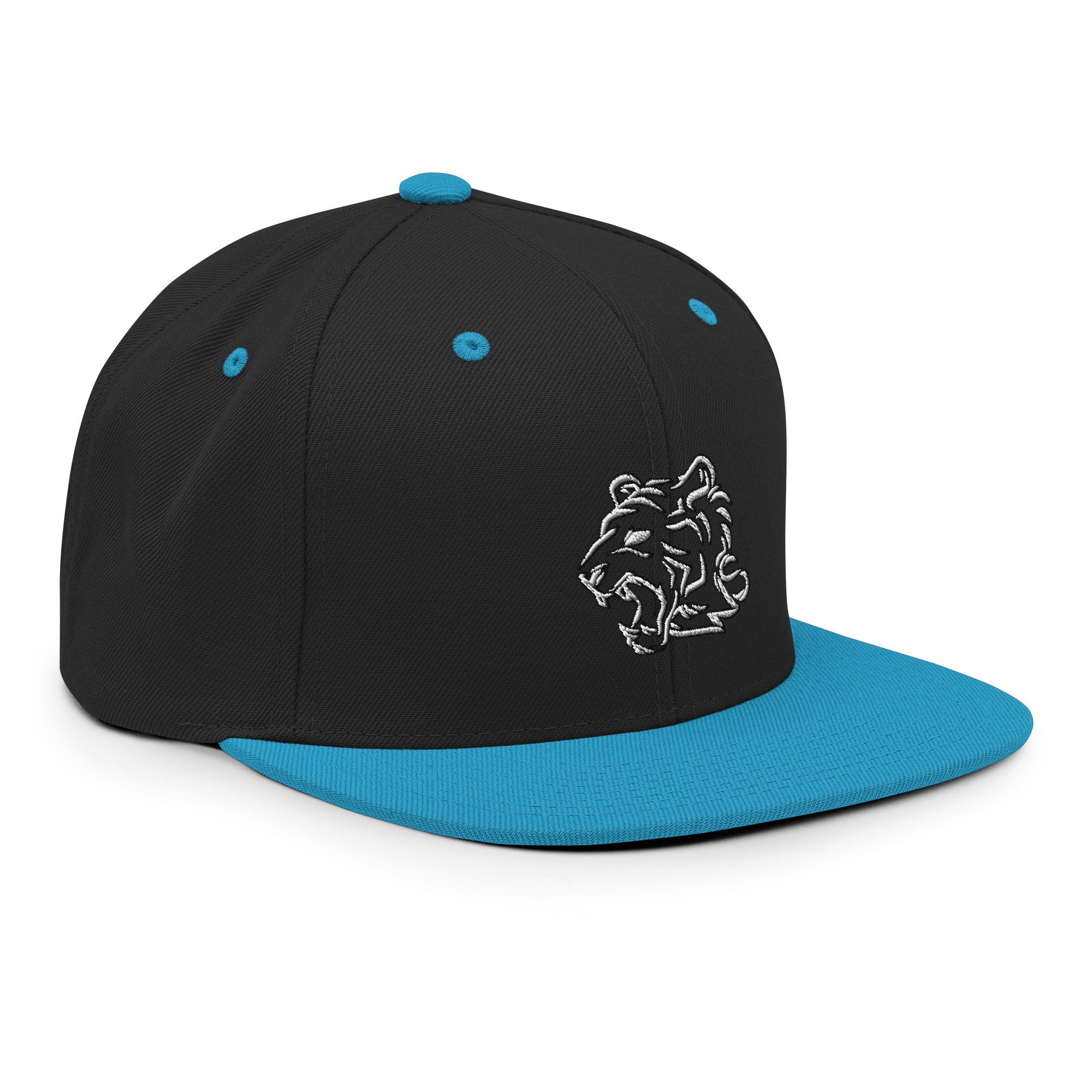 TeamWS Snapback