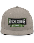 SpaceRaccoons Snapback