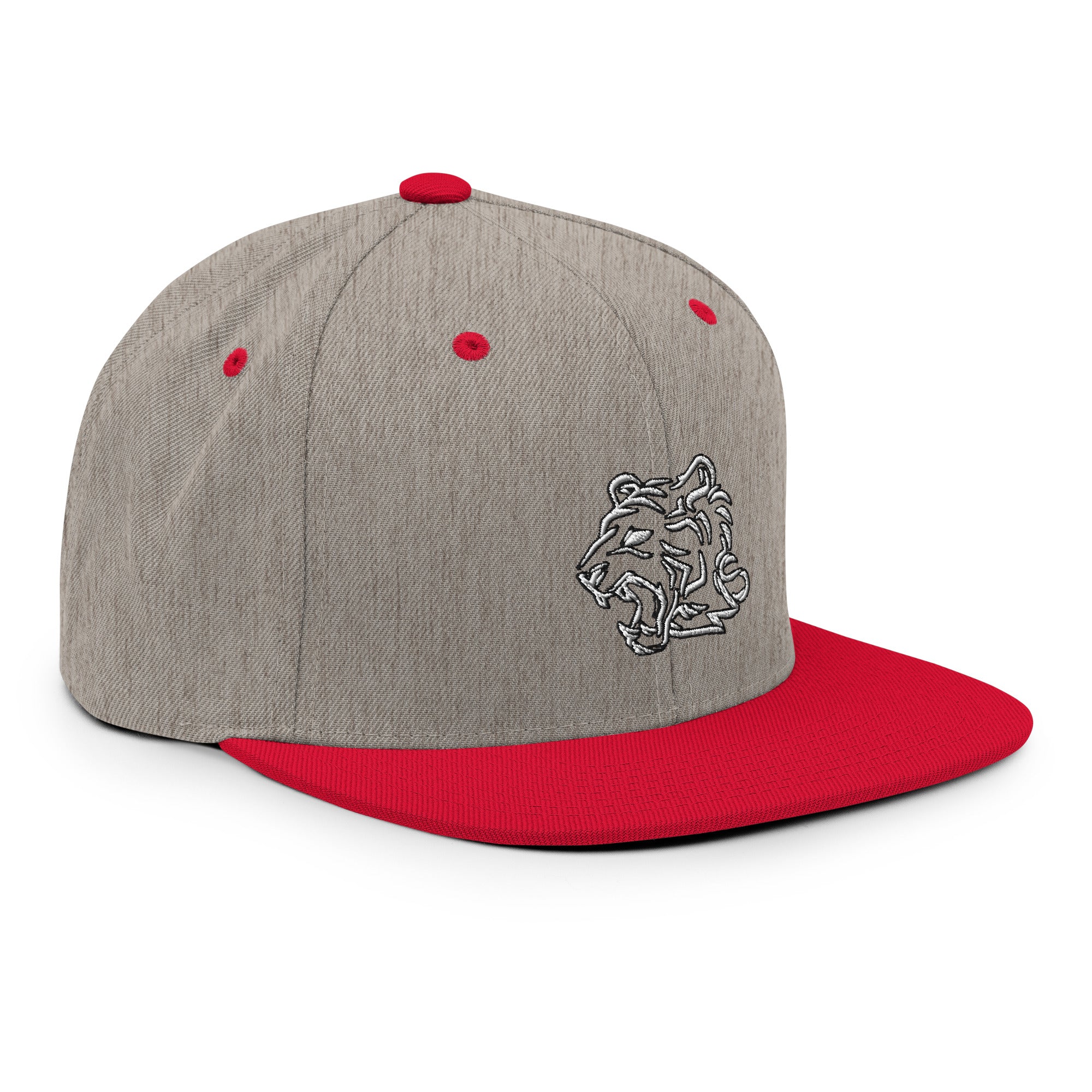 TeamWS Snapback