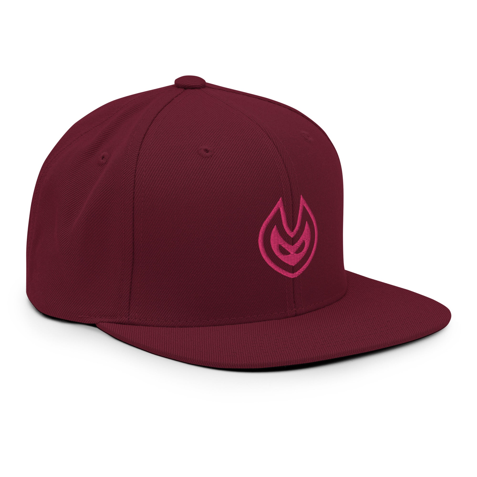 VISION Snapback