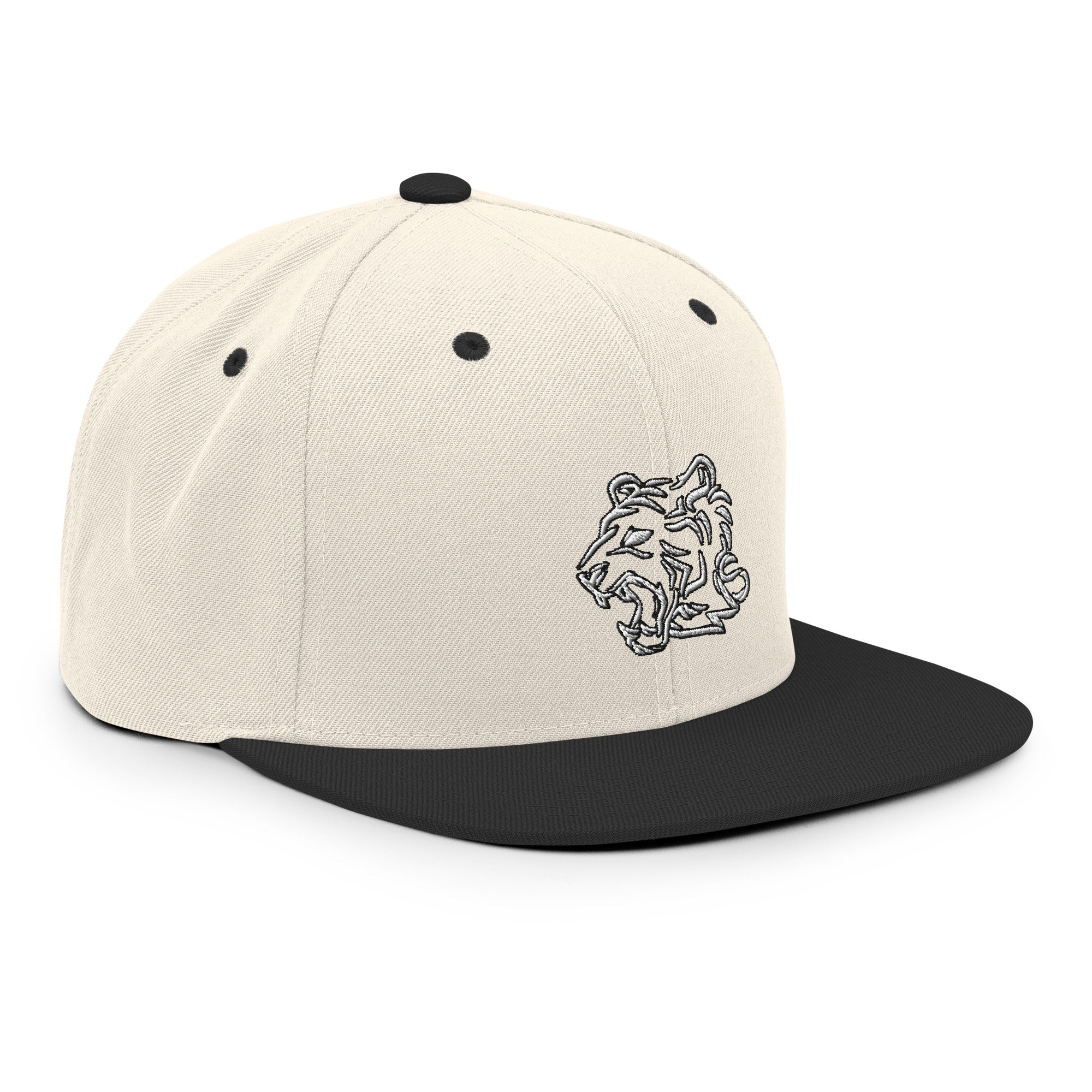 TeamWS Snapback