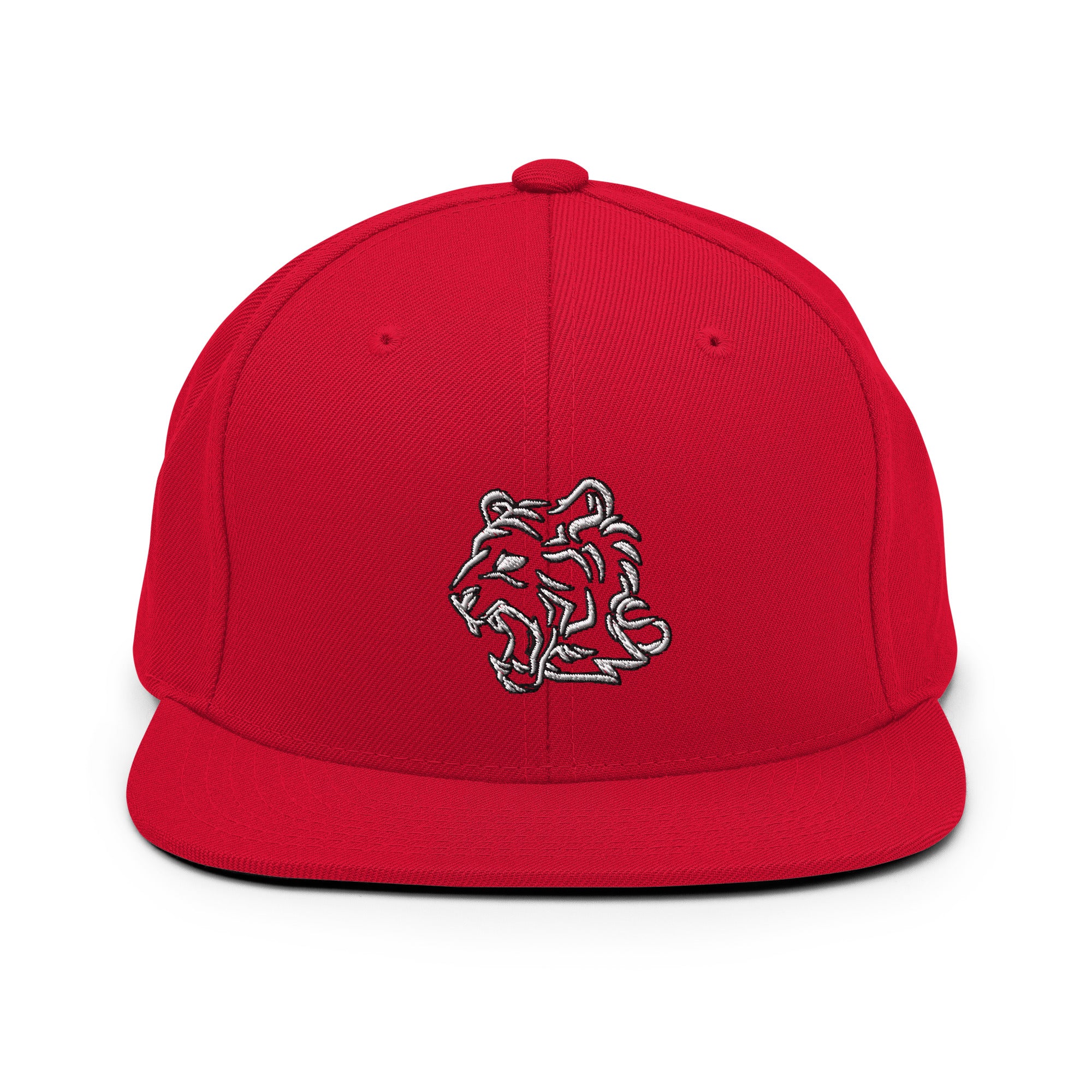 TeamWS Snapback