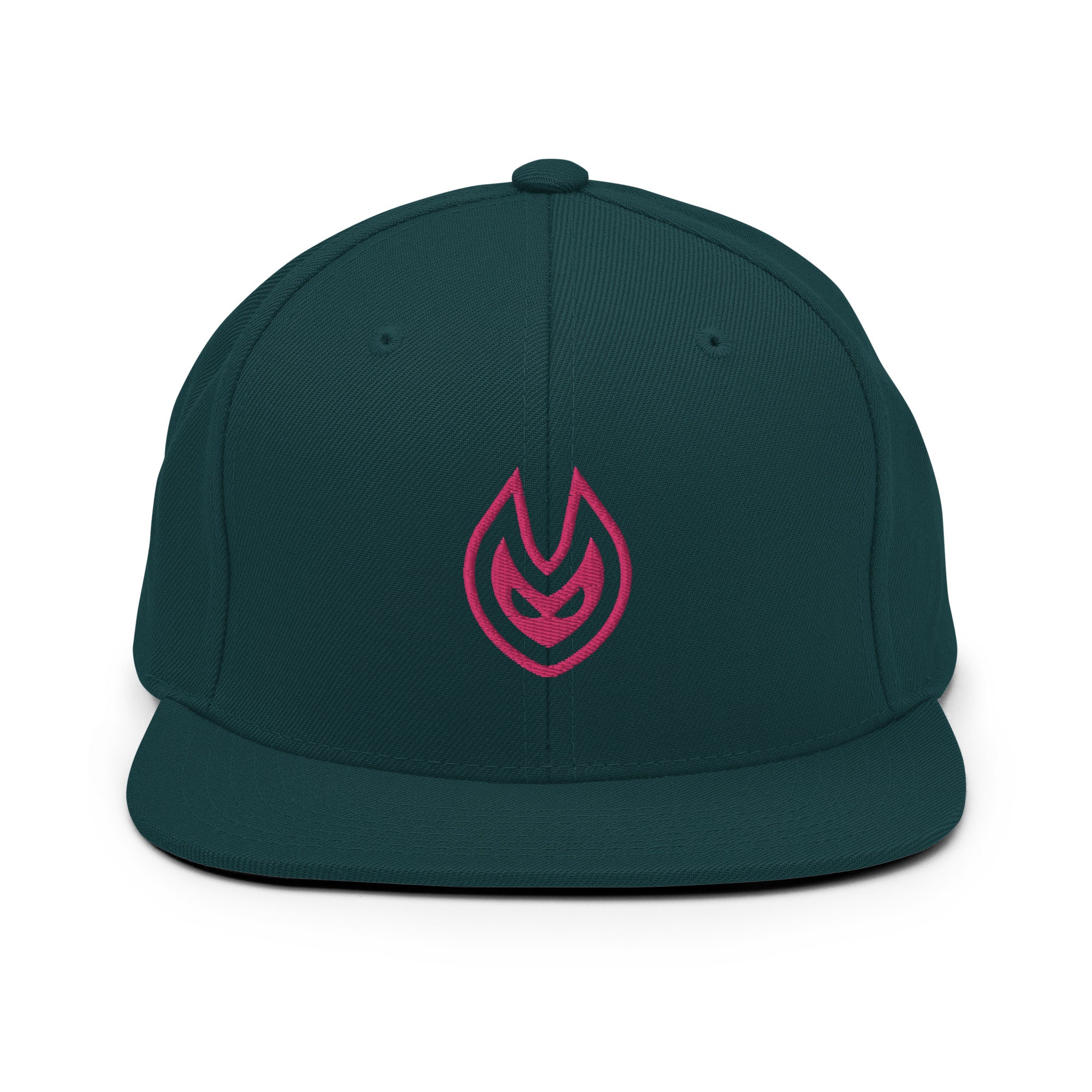 VISION Snapback