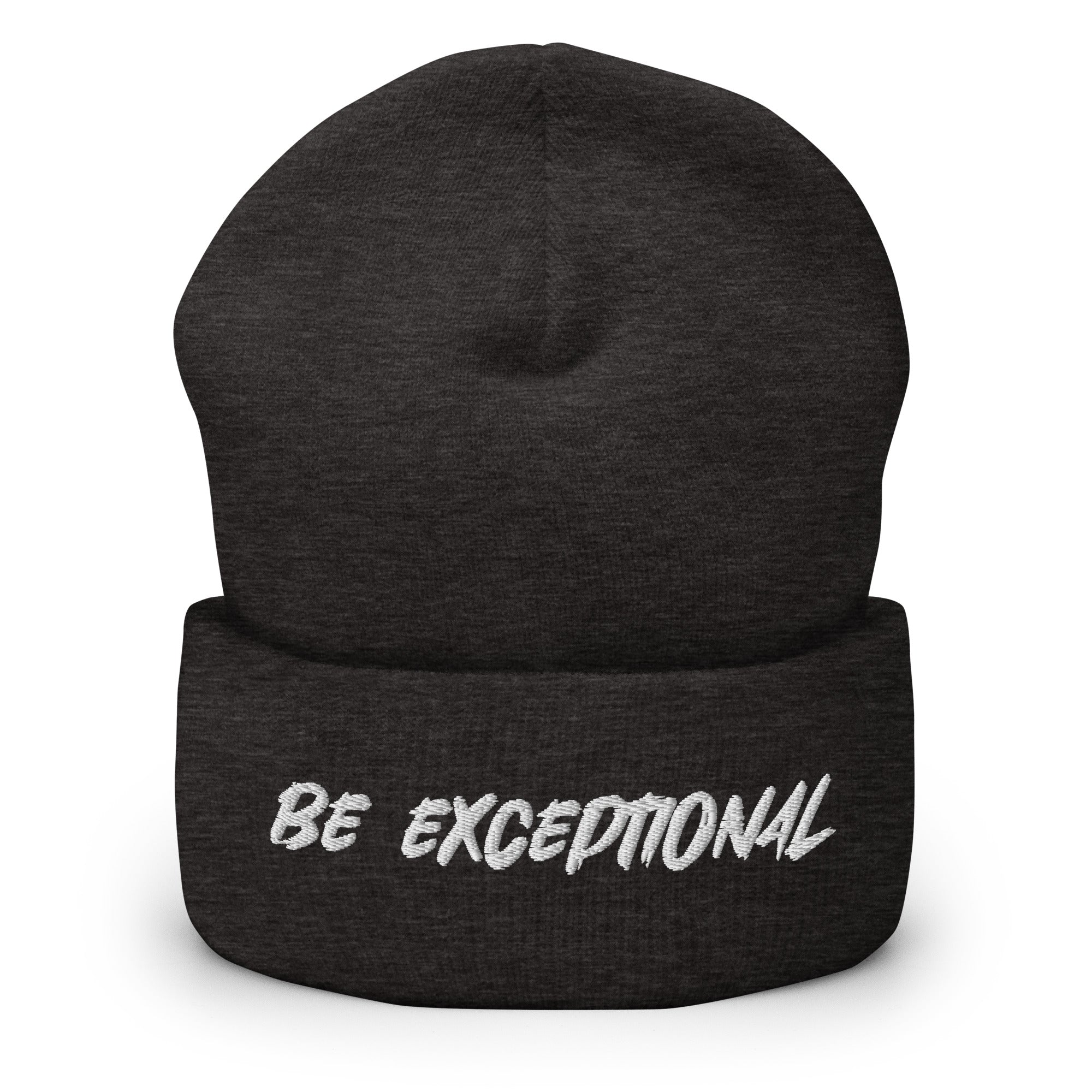 Exceptional Beanie