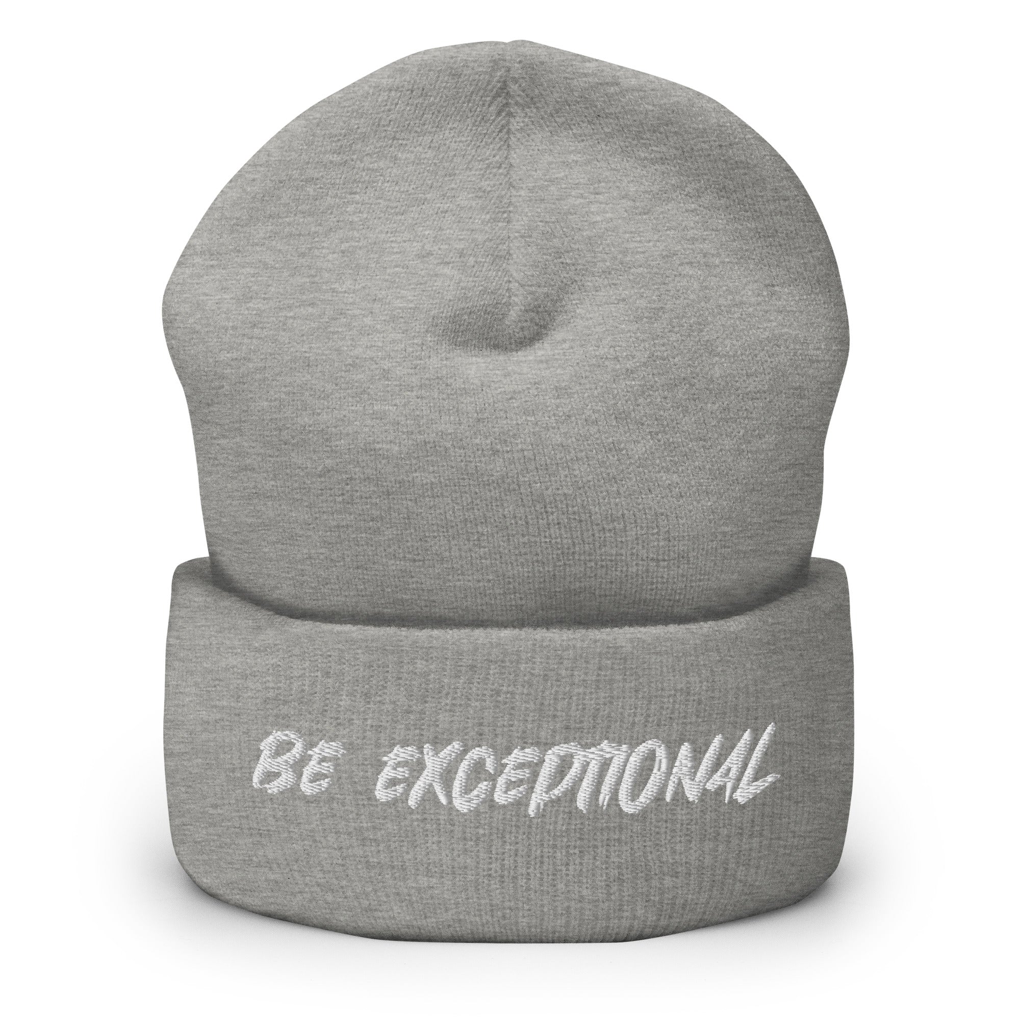 Exceptional Beanie