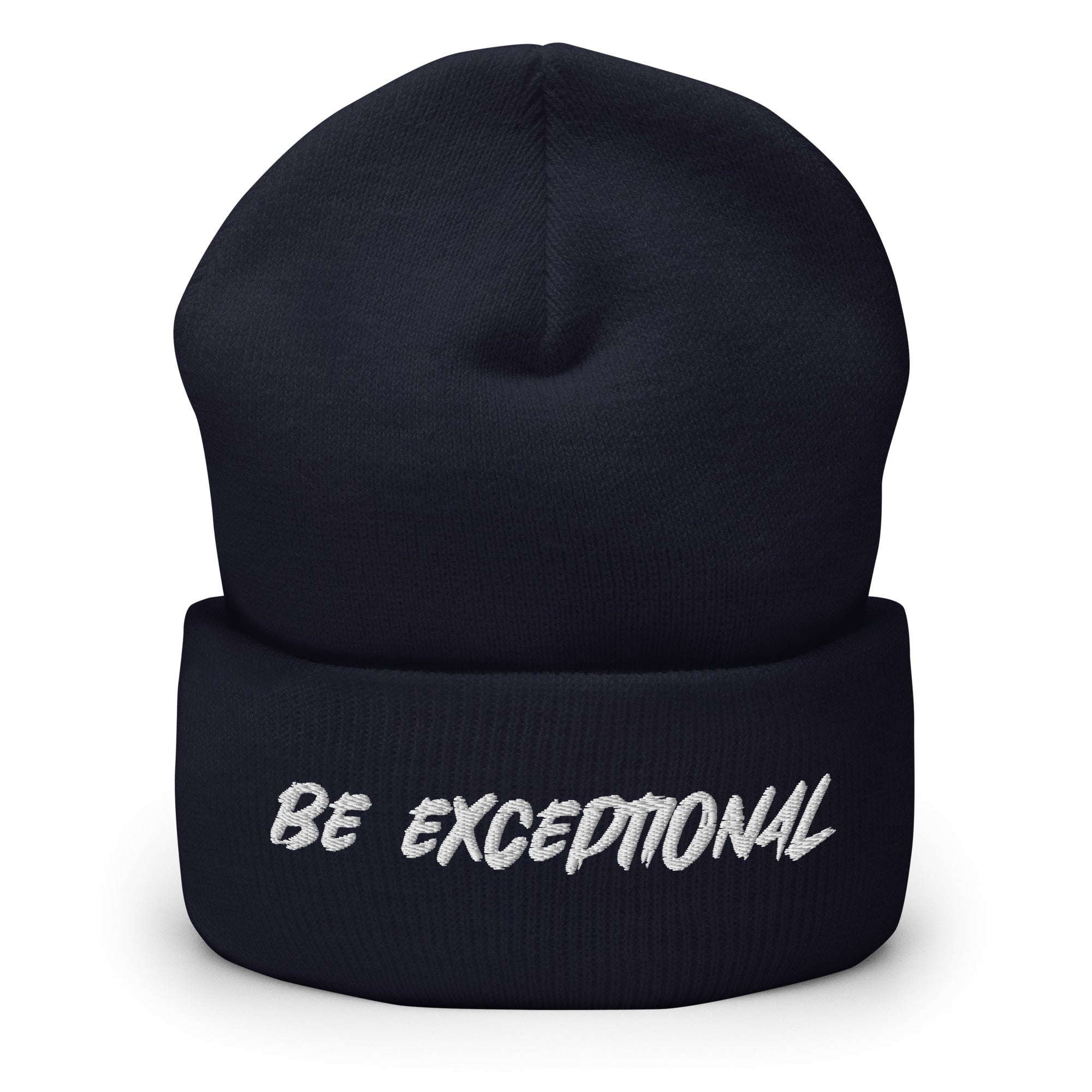 Exceptional Beanie