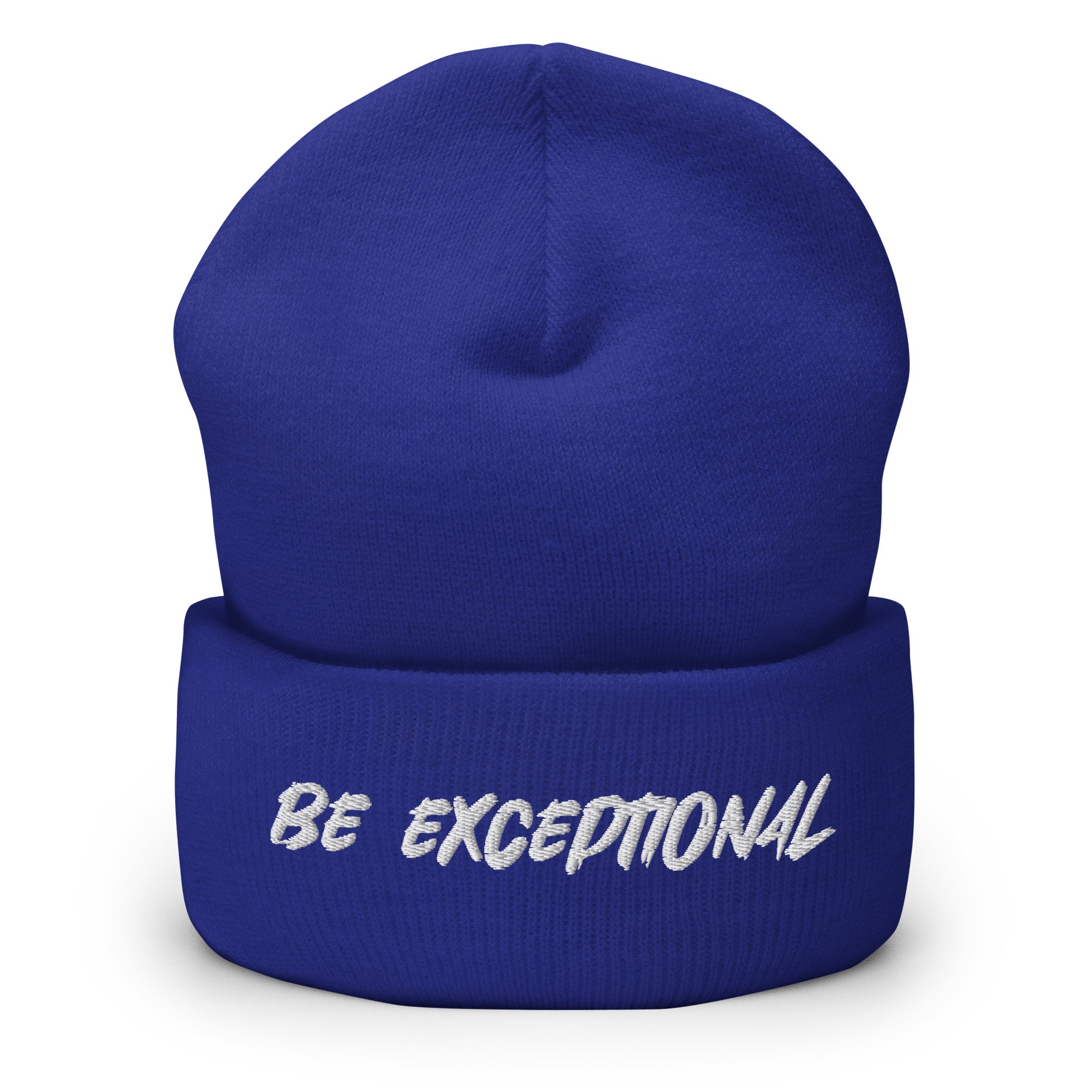 Exceptional Beanie