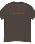 Aslantics Big Print Shirt