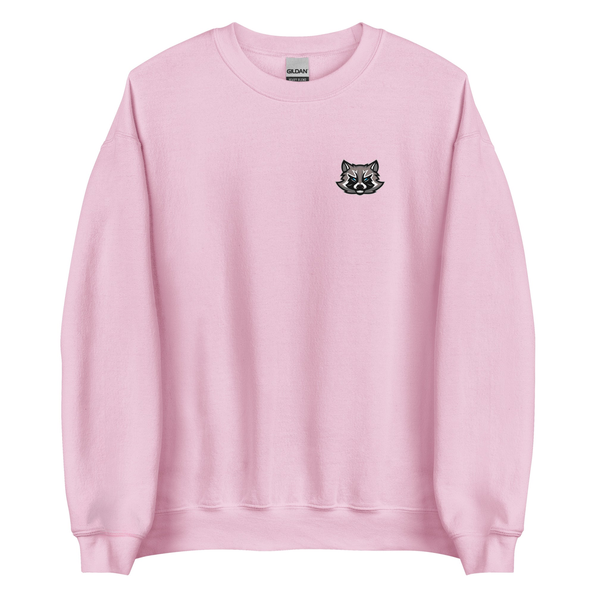 SpaceRaccoons Sweatshirt