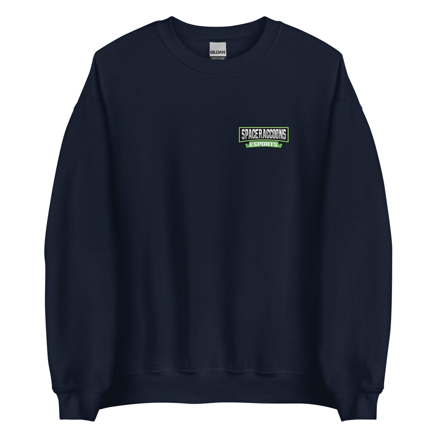 SpaceRaccoons Sweatshirt