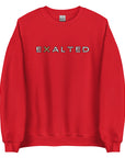 Exalted Big Print Sweatshirt