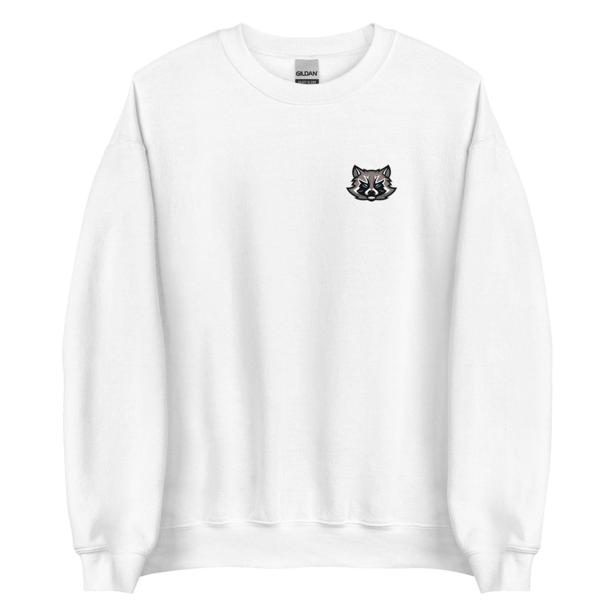 SpaceRaccoons Sweatshirt