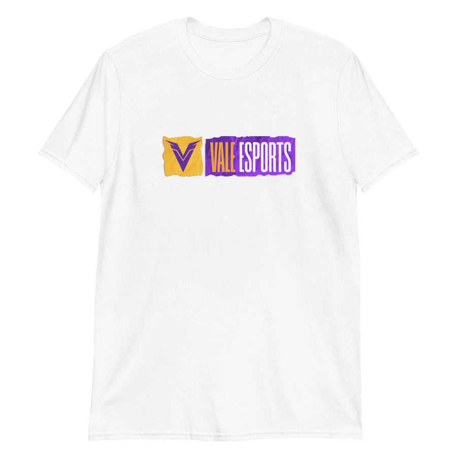 Basic Shirt (Bedruckt) Vale E-Sports