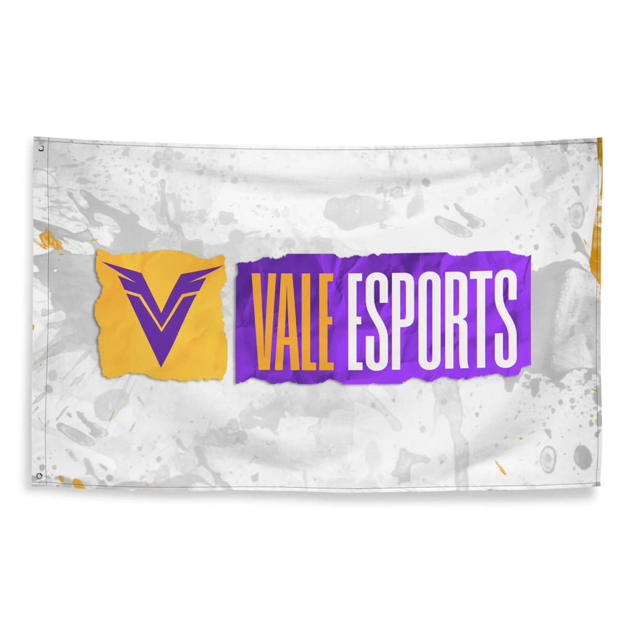 Flagge (142cm x 87cm) Vale E-Sports